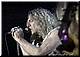 Live video: Robert Plant - Going To California